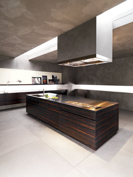 cuisine ébène de Macassar et hotte inox Bordeaux